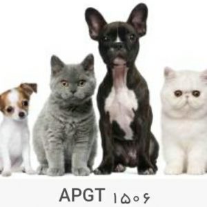 پوستر دیواری حیوانات